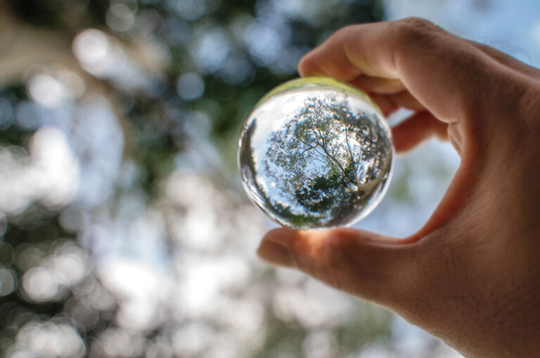 Ciclo Sostenibilidad: Verificación del estado de información no financiera