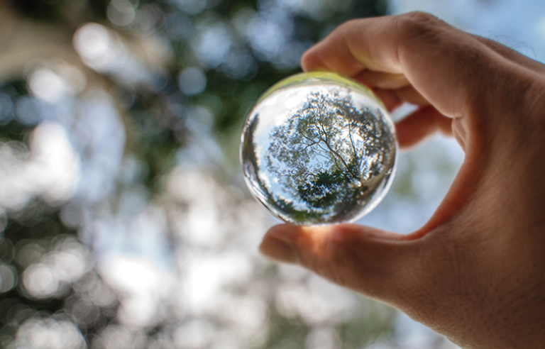 Sostenibilidad: Verificación del Estado de información no financiera