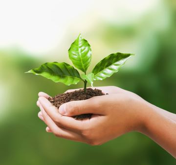 Ciclo Sostenibilidad: Nuevo paradigma del beneficio empresarial: #PPP: #People, #Planet y #Profit