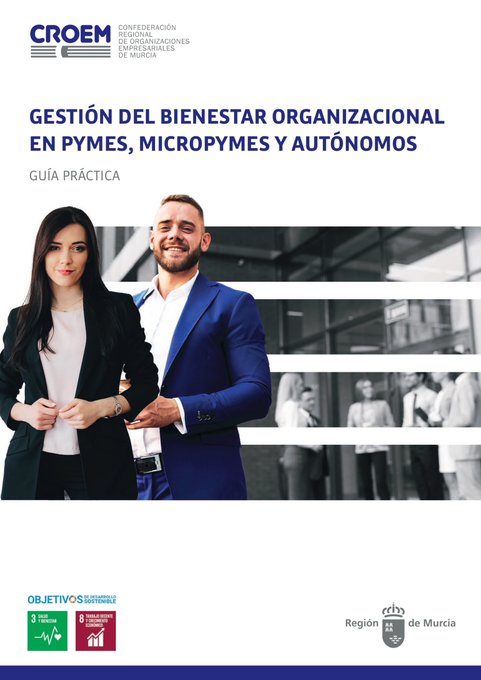Gestión del bienestar organizacional en pymes, micropymes y autónomos