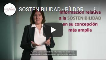 Proceso de elaboración EINF