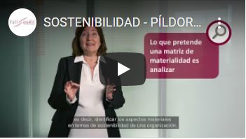 ¿Qué es y cómo se hace una matriz de materialidad?