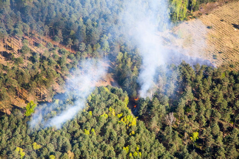 ¿Sabías que los incendios forestales deben tenerse en cuenta a la hora de elaborar el Plan de Actuación ante Emergencias?