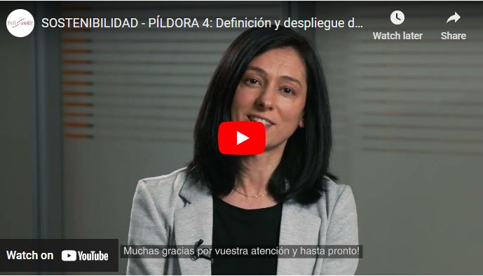 Definición y despliegue de la Hoja de Ruta en Sostenibilidad