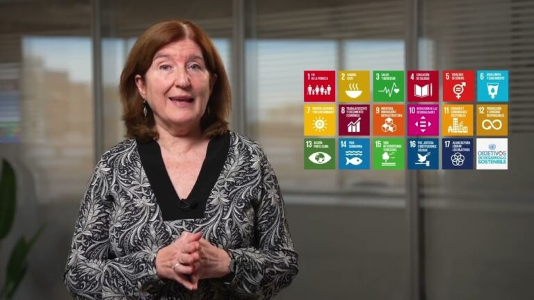 Accesibilidad Universal y su integración en la gestión de la Sostenibilidad de las Organizaciones